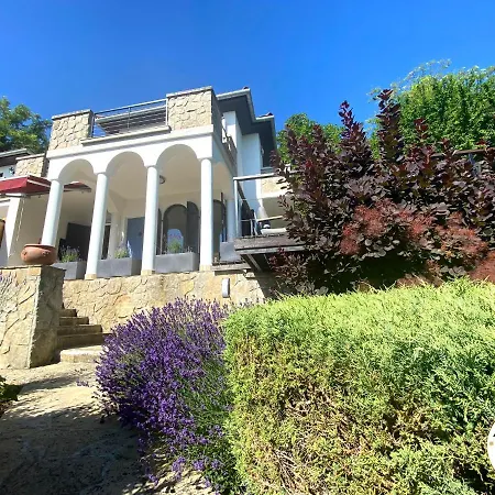 ヴィラ Arttrend Luxury *